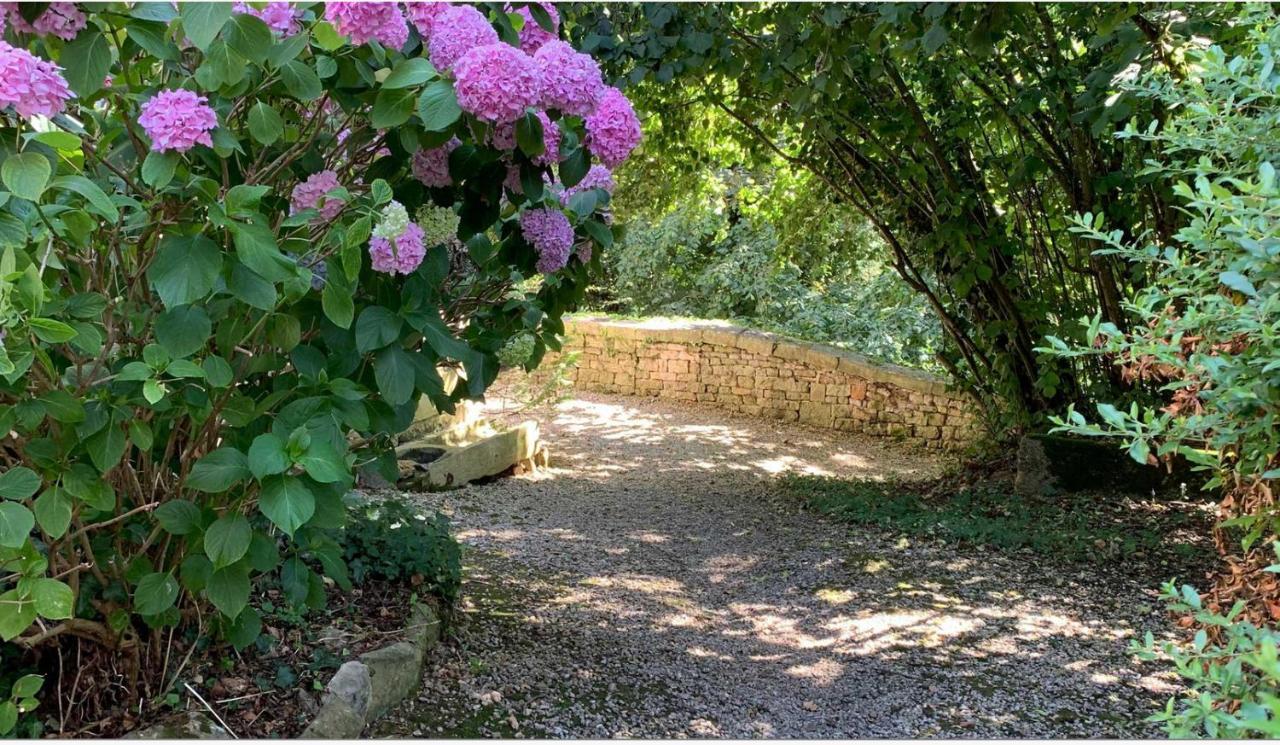 Mazette! Le Chateau Niort Exterior foto
